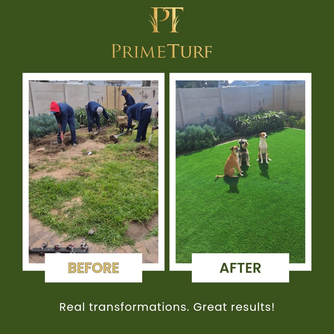 Before and after: a worn natural lawn being lifted, then the finished artificial lawn with three dogs on it